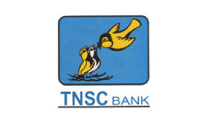 Placement Logo