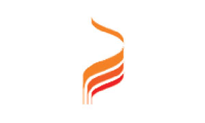 Placement Logo