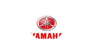 Placement Logo