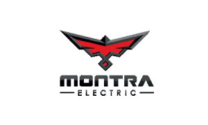 Placement Logo
