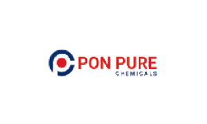Placement Logo